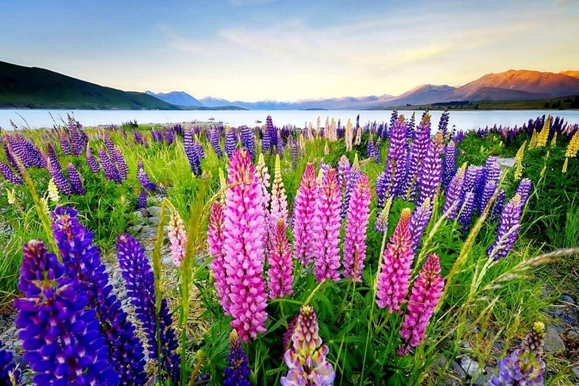 Tekapo1929 Lakefront Villa Lake Tekapo Eksteriør bilde