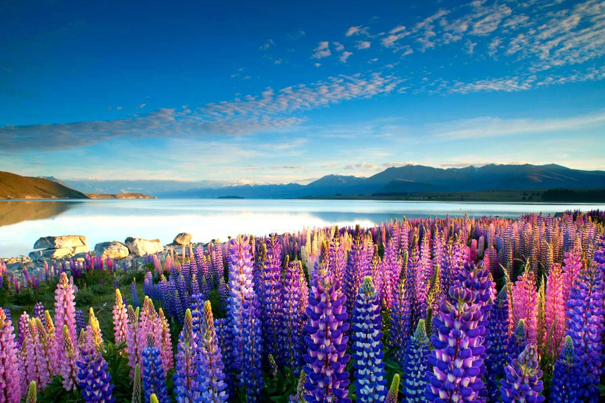 Tekapo1929 Lakefront Villa Lake Tekapo Eksteriør bilde